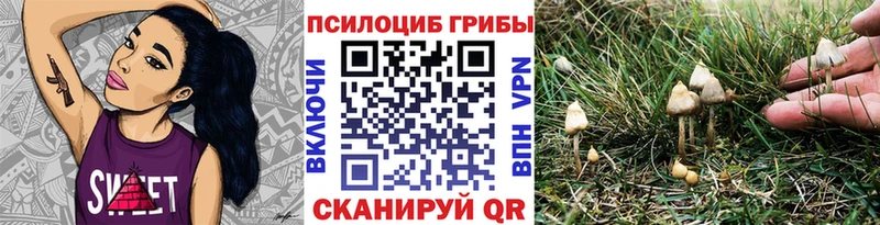 Псилоцибиновые грибы мицелий  Купить где  Бодайбо 